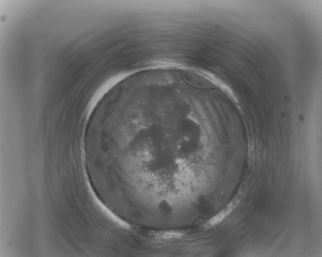 X0000080711239200612221135