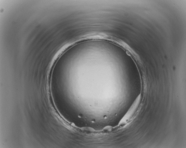 X0000080711240200612221135