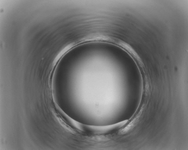 X0000080711242200612221135