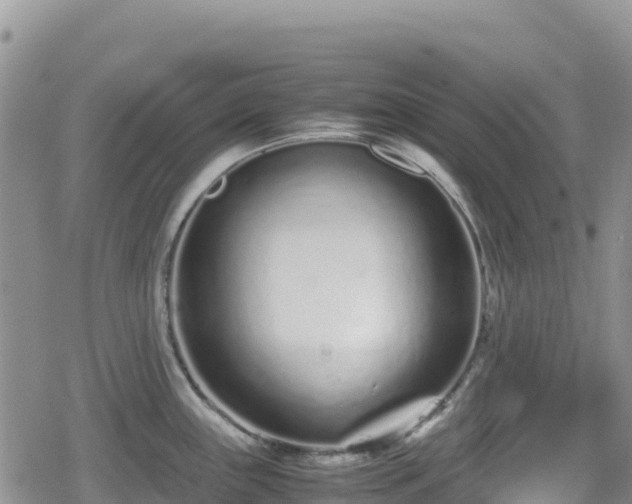 X0000080711243200612221135