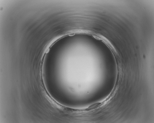 X0000080711244200612221135