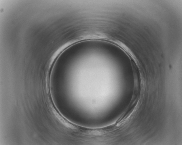 X0000080711246200612221135