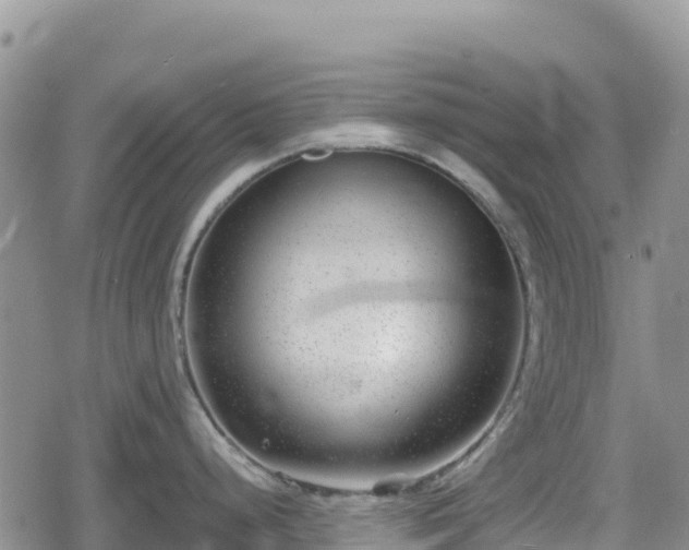 X0000080711248200612221135