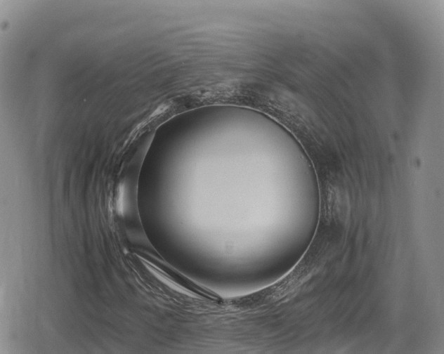 X0000080711250200612221134