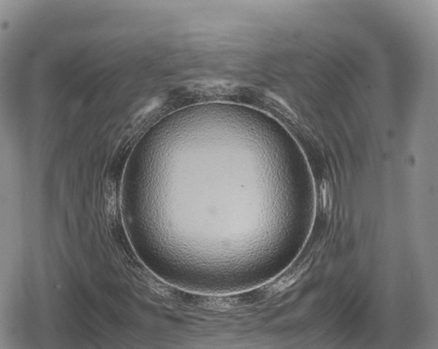 X0000080711251200612221134