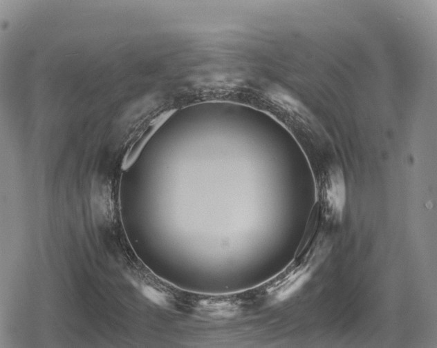 X0000080711252200612221134