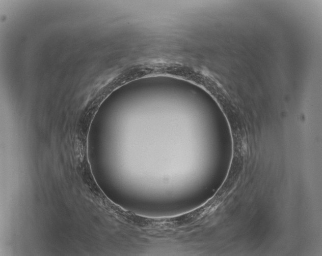 X0000080711253200612221134