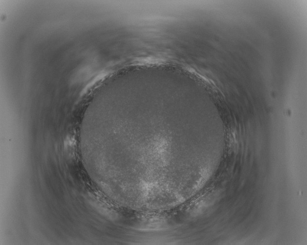 X0000080711254200612221134