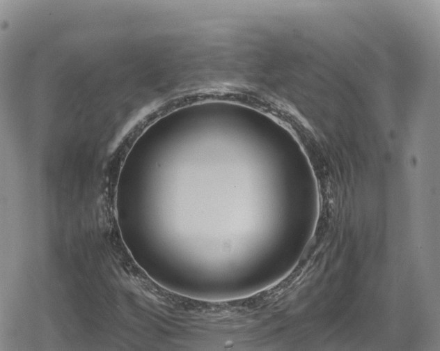 X0000080711256200612221134