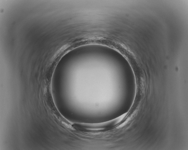 X0000080711257200612221134