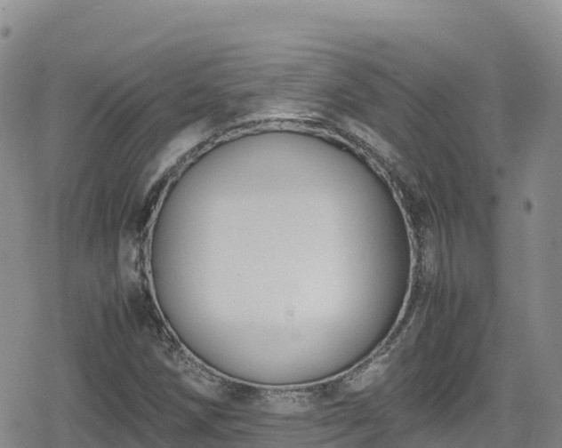 X0000080711258200612221134