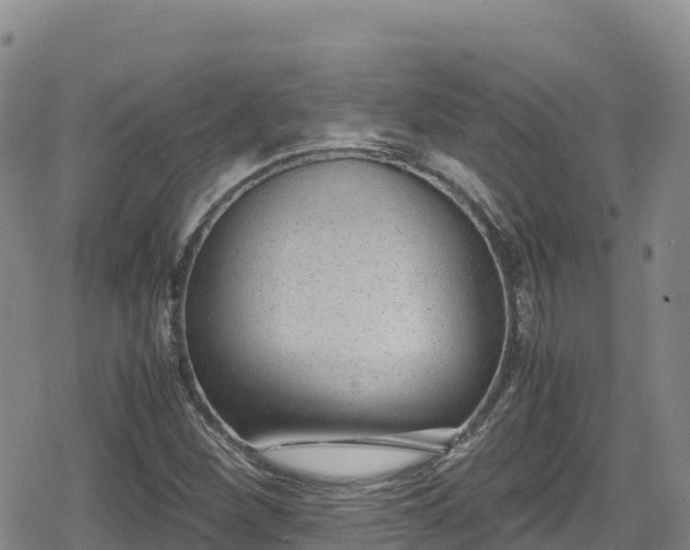 X0000080711260200612221134