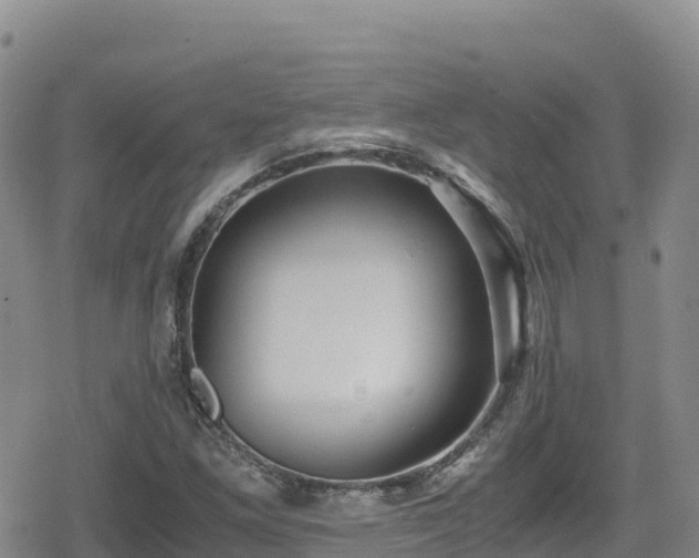 X0000080711261200612221134