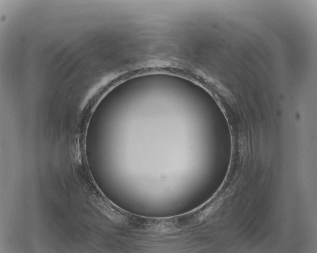 X0000080711262200612221134