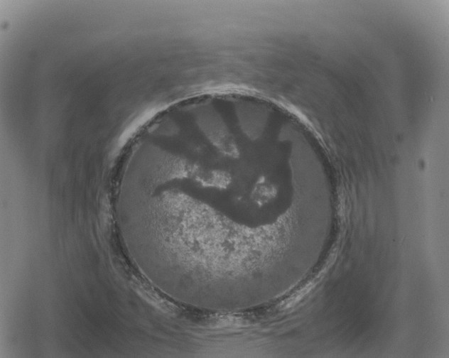 X0000080711263200612221134