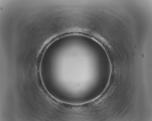 X0000080711264200612221134