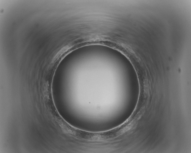 X0000080711265200612221134