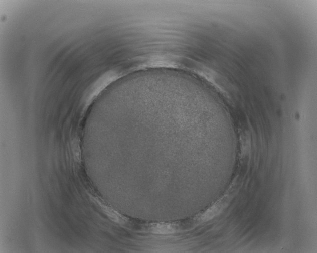 X0000080711266200612221134