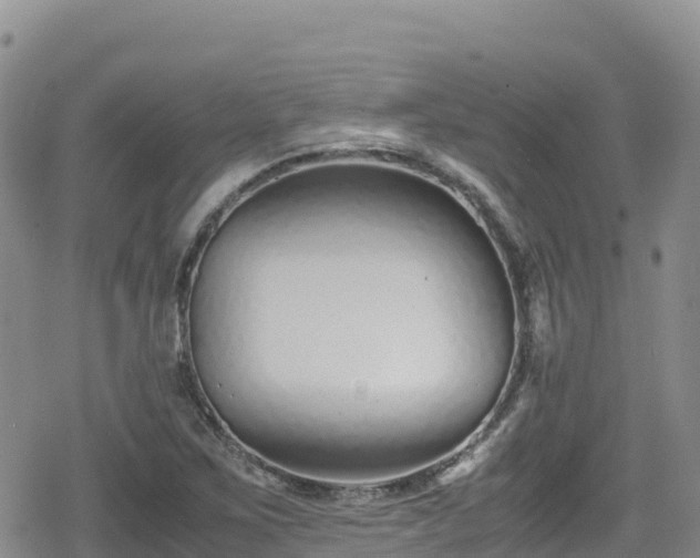 X0000080711267200612221134