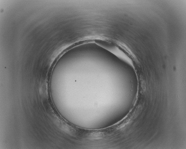 X0000080711268200612221134