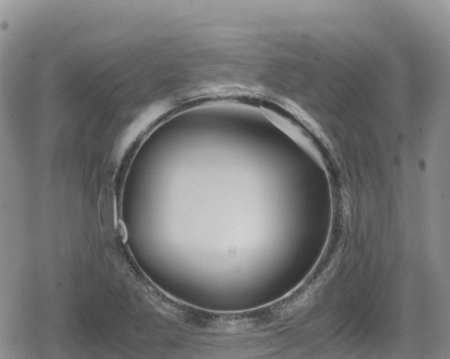 X0000080711269200612221134