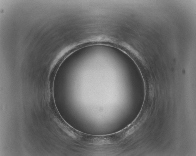 X0000080711270200612221134