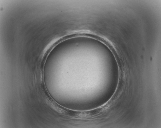 X0000080711271200612221134