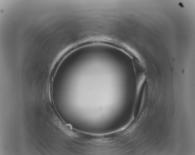 X0000080711272200612221134