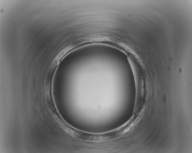 X0000080711273200612221134