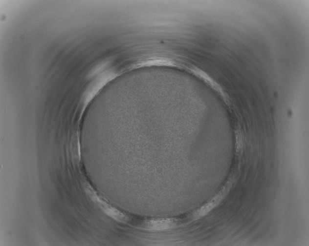 X0000080711274200612221134