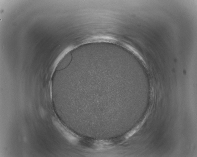 X0000080711275200612221134