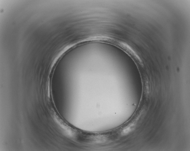 X0000080711276200612221134