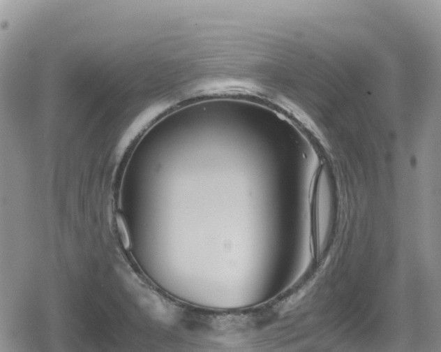 X0000080711277200612221134