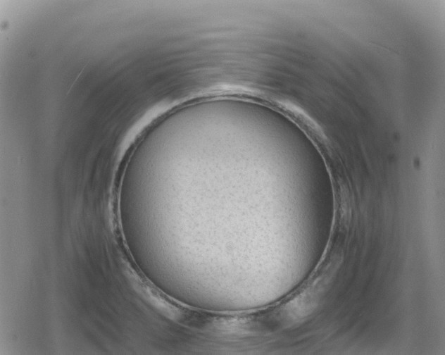 X0000080711278200612221133