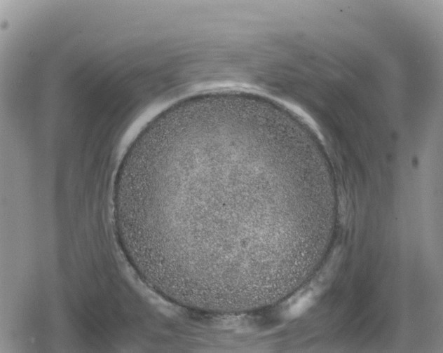 X0000080711279200612221133