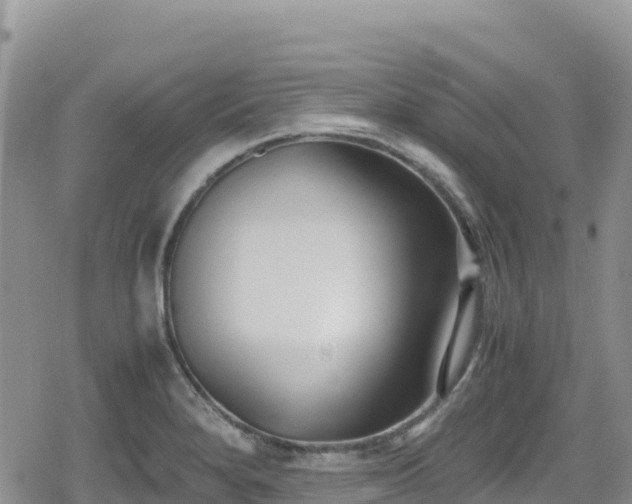 X0000080711280200612221133