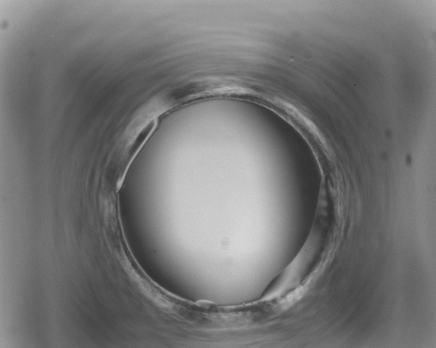 X0000080711281200612221133