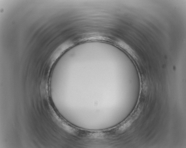 X0000080711282200612221133