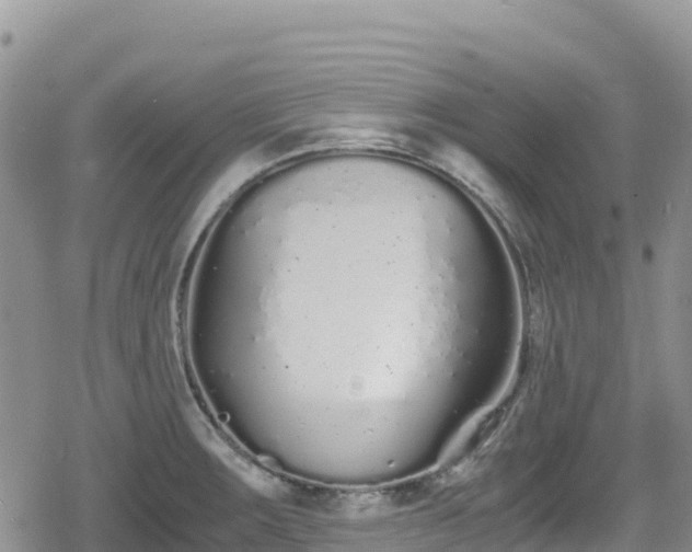 X0000080711283200612221133