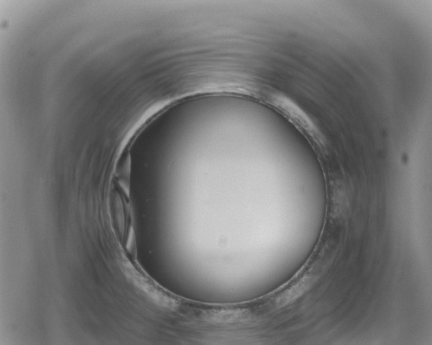 X0000080711284200612221133