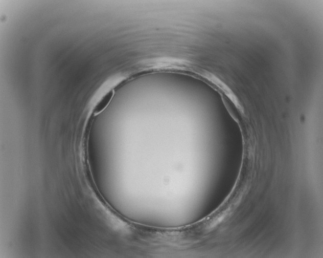 X0000080711285200612221133