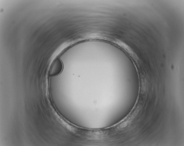 X0000080711286200612221133