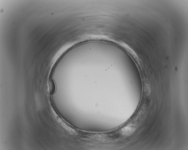 X0000080711287200612221133