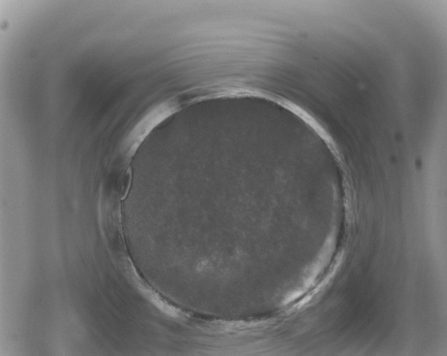 X0000080711289200612221133