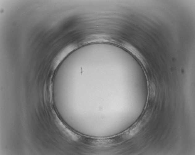 X0000080711290200612221133