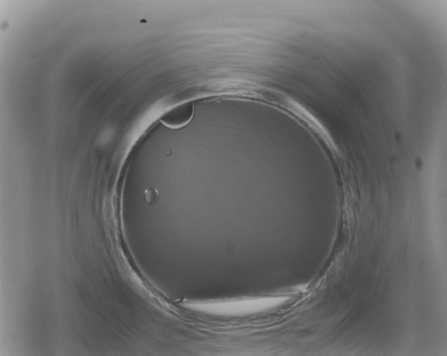 X0000080711291200612221133