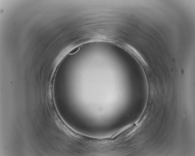 X0000080711292200612221133