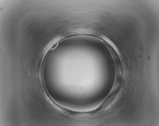 X0000080711293200612221133