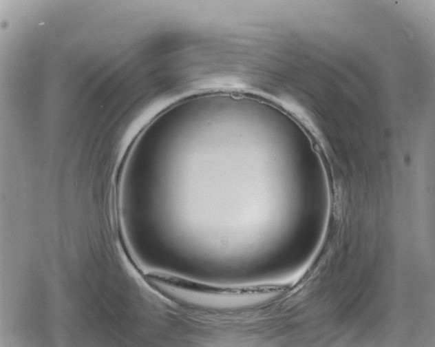 X0000080711295200612221133