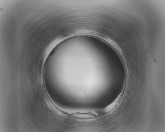 X0000080711296200612221133